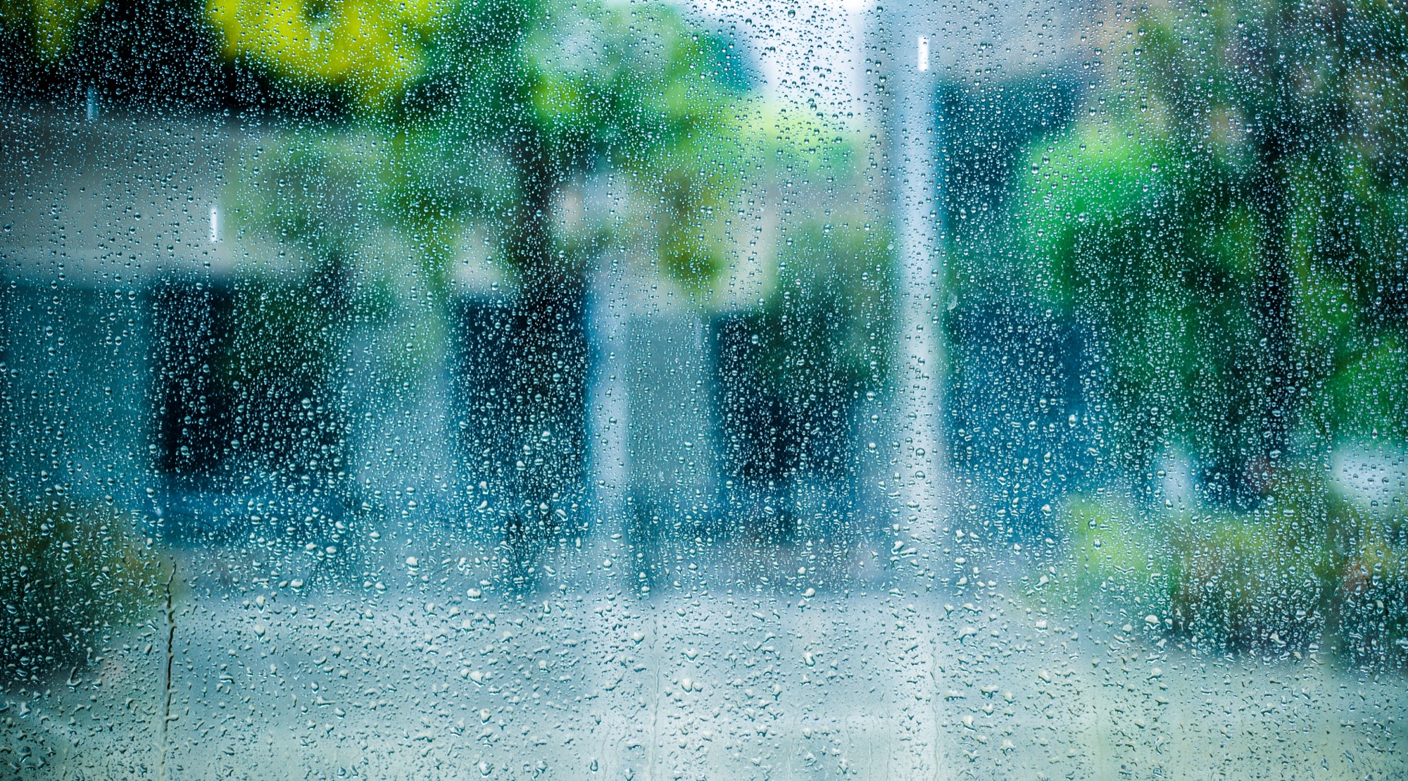 イシンホームの家で梅雨も快適に、楽しみな･･･