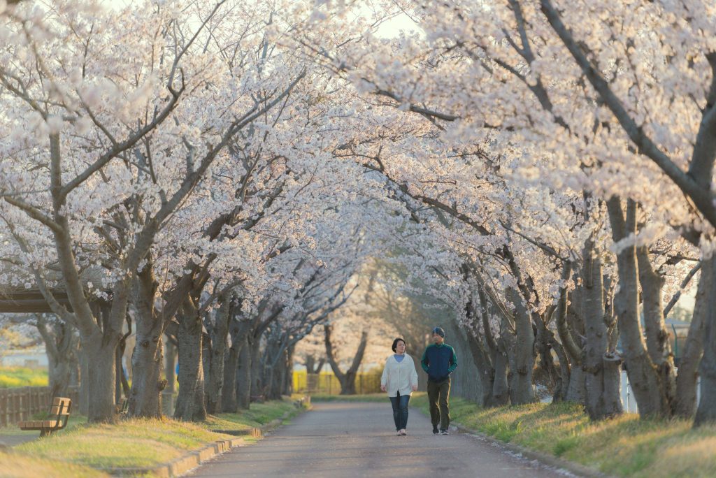  水戸・ひたちなかで平屋が人気な理由とは？後悔しない間取りの考え方も解説